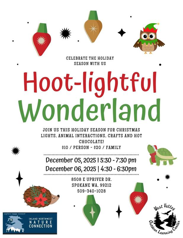 Hoot-Lightful Wonderland