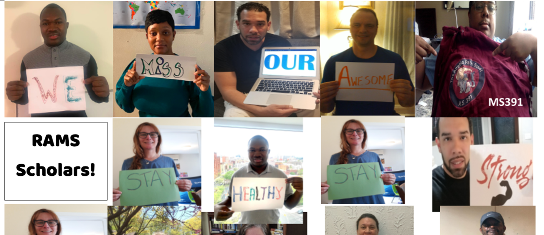 The Angelo Patri Middle School M S 391