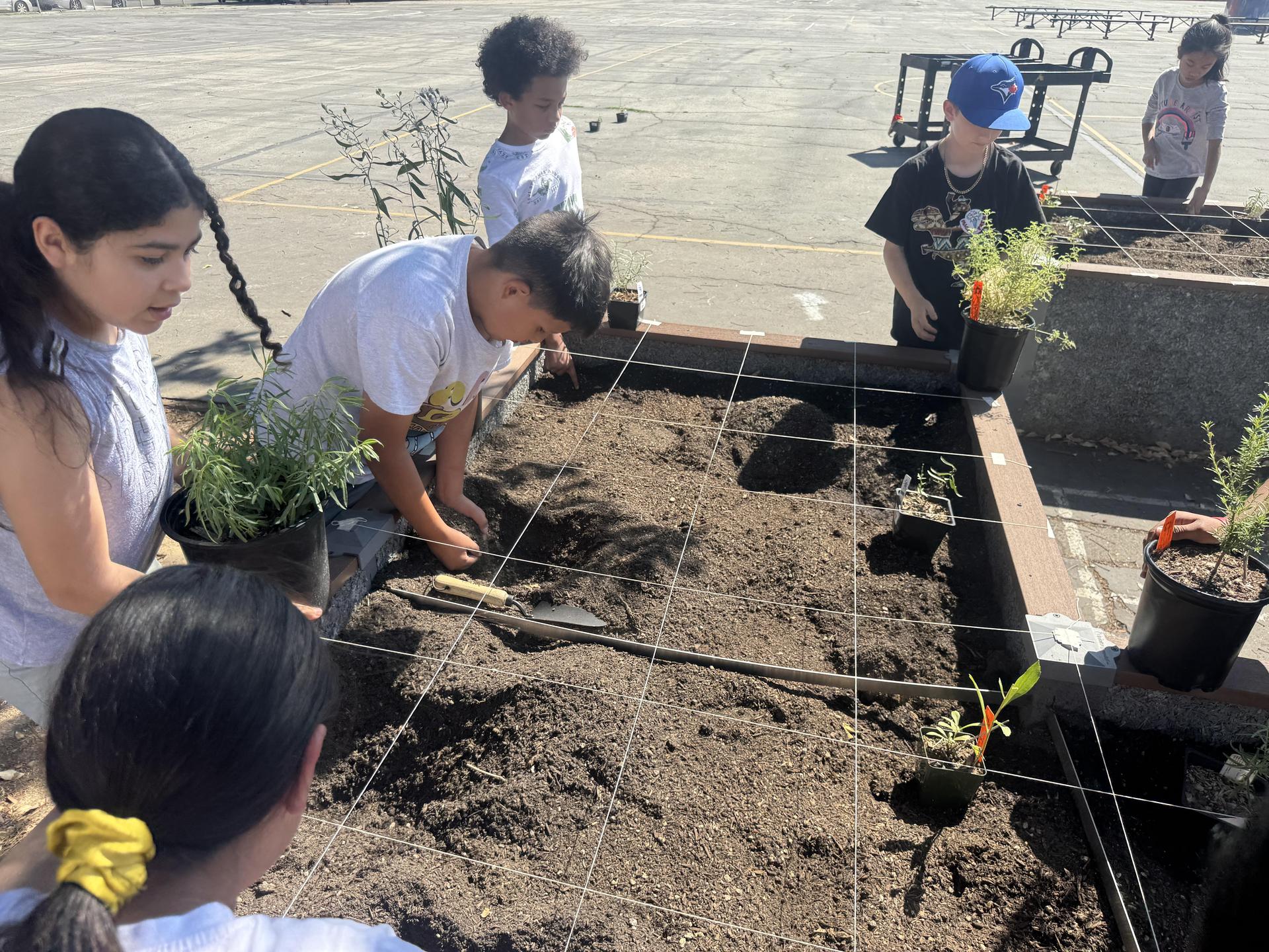 Lorne's Monarch Butterfly Sanctuary Garden