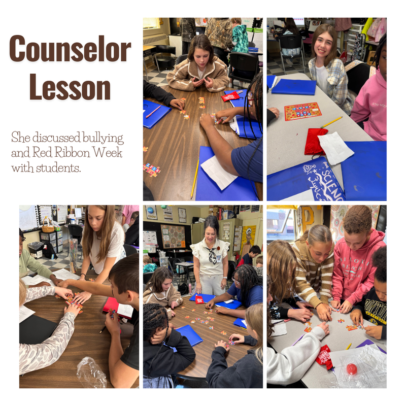 counselor lesson