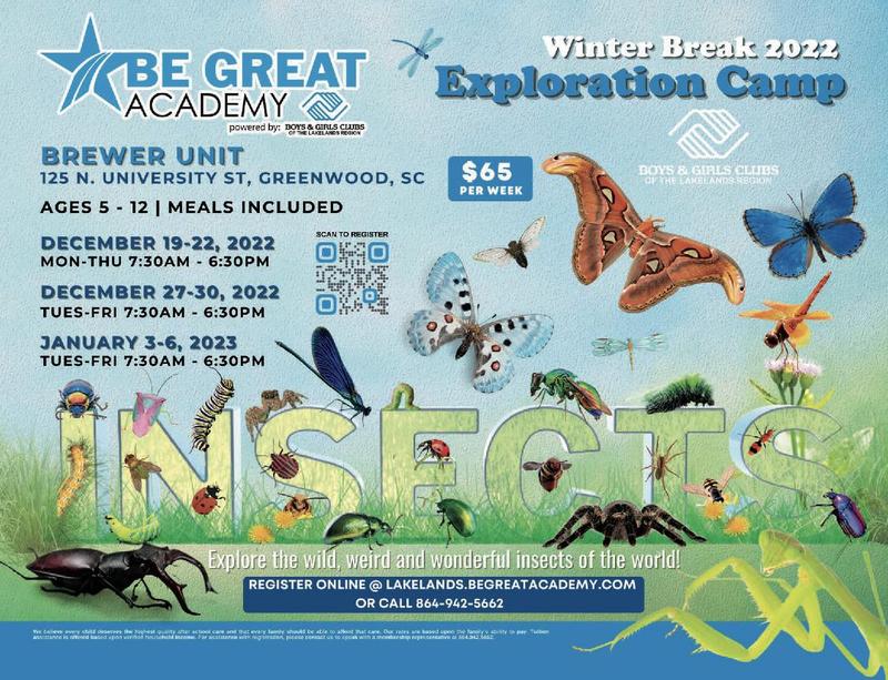 Winter Break Camp Featured Photo