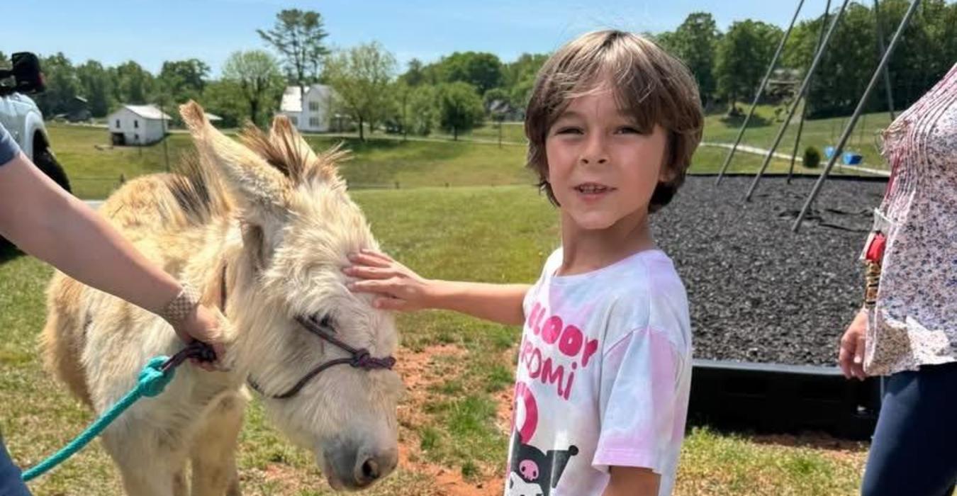 A child petting a small white pony in a grassy area.