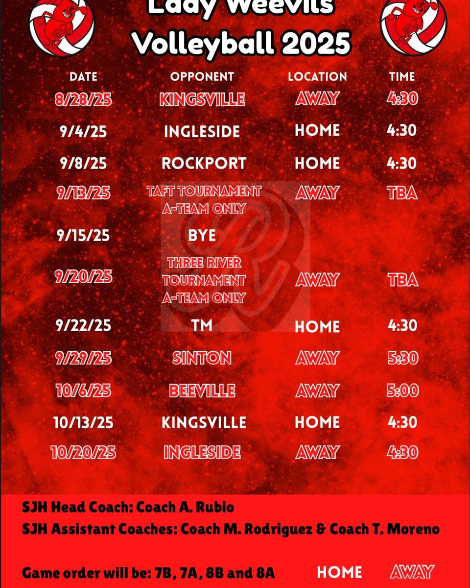 Volleyball Flyer