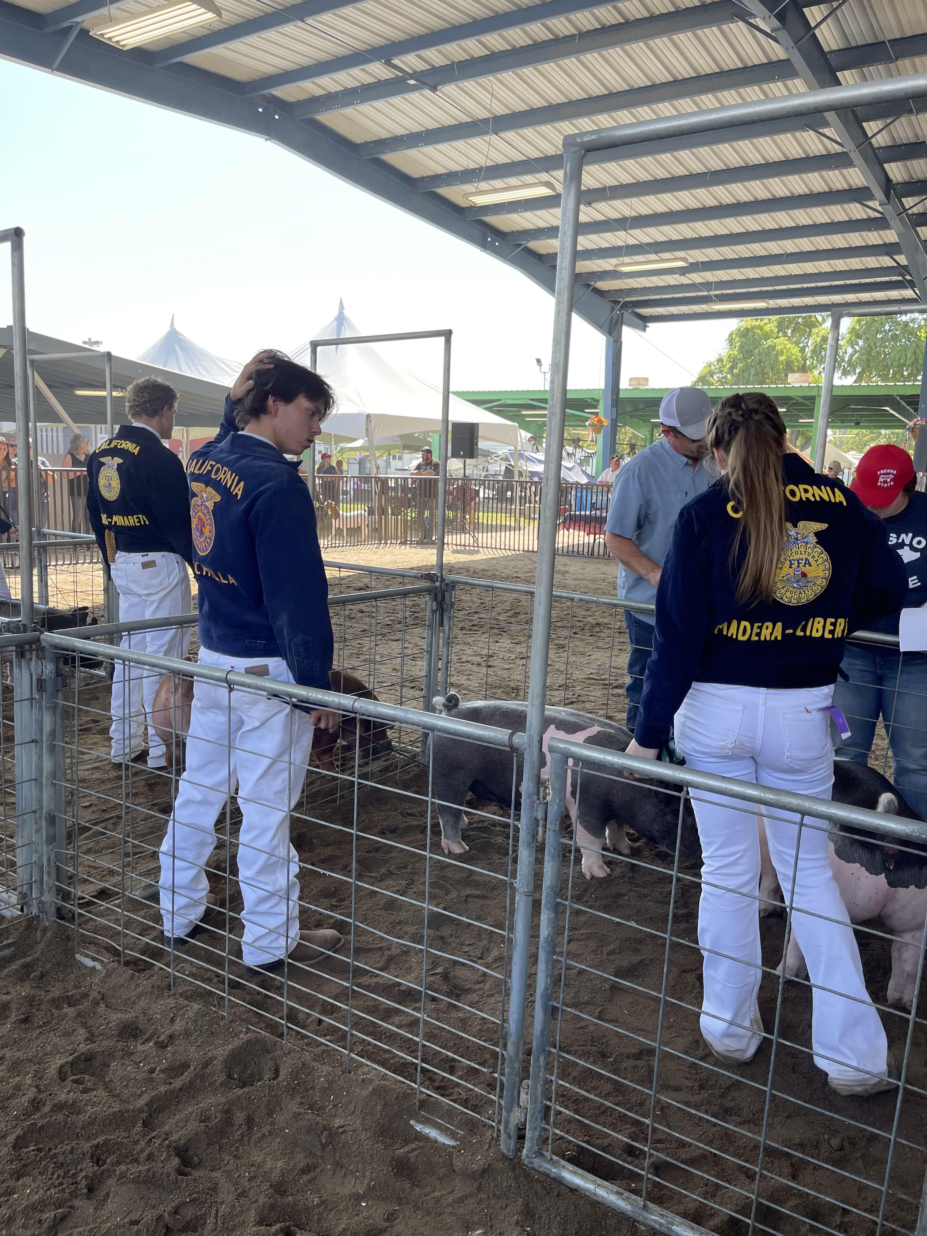FFA at the Madera Fair, September 512, 2021 CUHS Videos & Photos