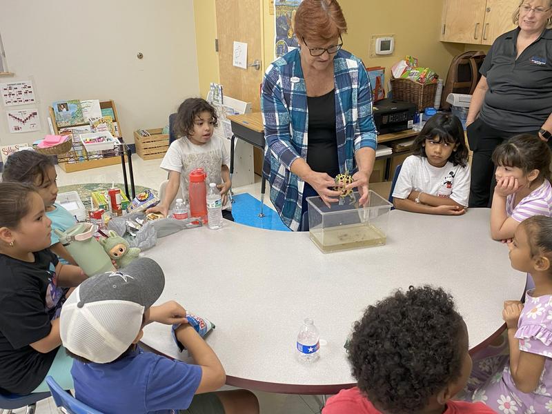 Turtle Tuesday @ Learning Alive