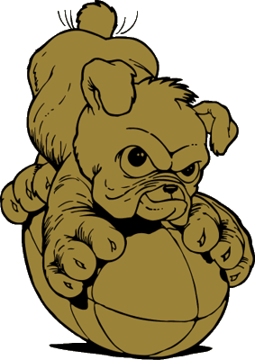 Bullpup logo