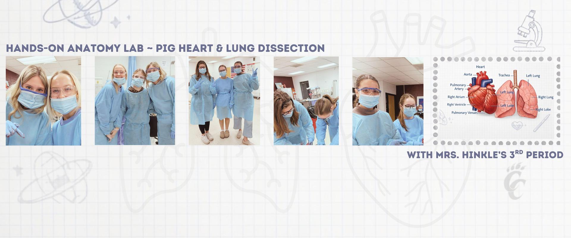 A&P Lab with Mrs. Hinkle's 3rd period.