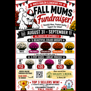 Fall Mum Sale