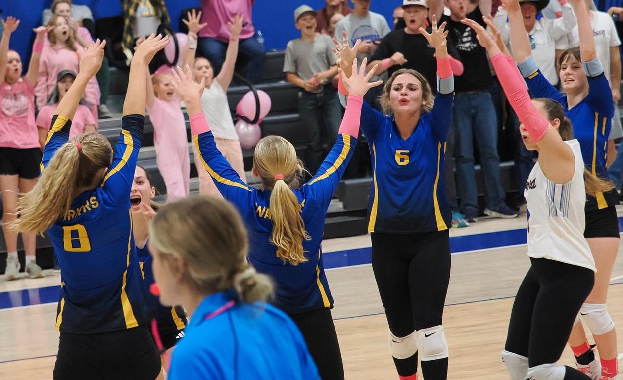 Cheering volleyball players and fans celebrating a point in a lively gym setting.