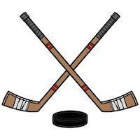 hockey sticks and puck