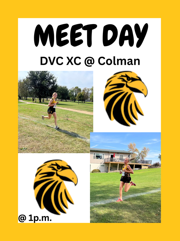 Hawks Cross Country