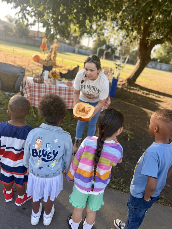 Alcott Pumpkin Patch Photos - image for news story