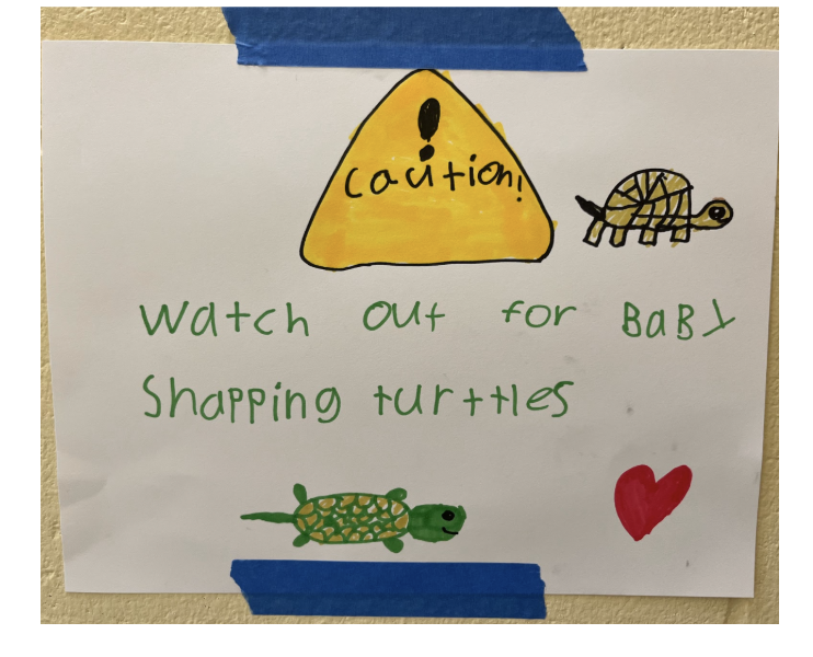 caution baby turtle crossing sign