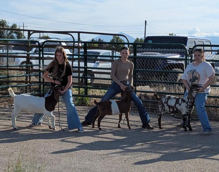 FFA Ag Summer Fun