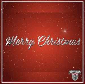 Merry Christmas 2025