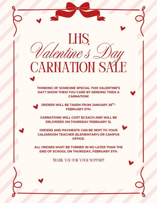 Valentine's Day Carnations Featured Photo