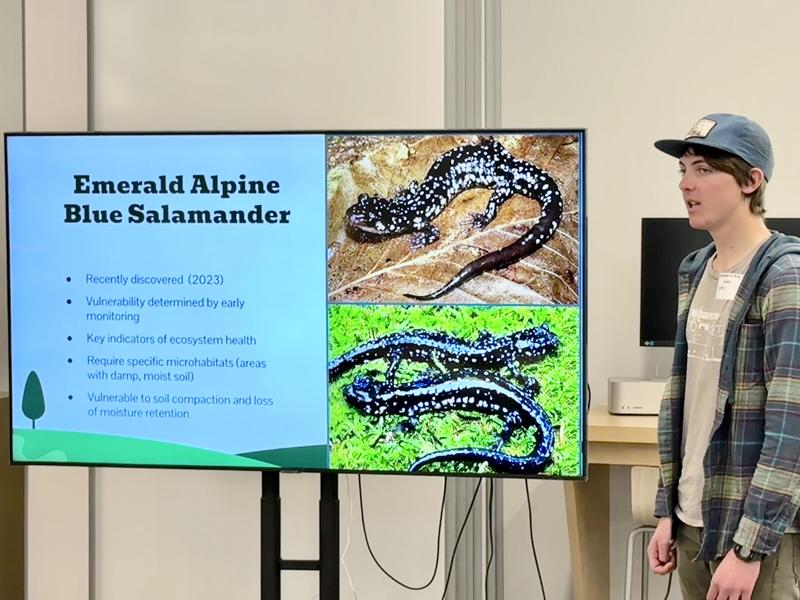 A student speaks in front of a smart TV with a slide about a salamander