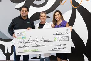 excel award