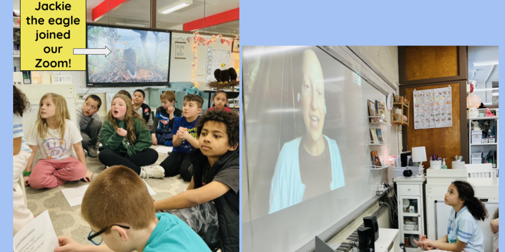 Jackie the eagle joined our Zoom!