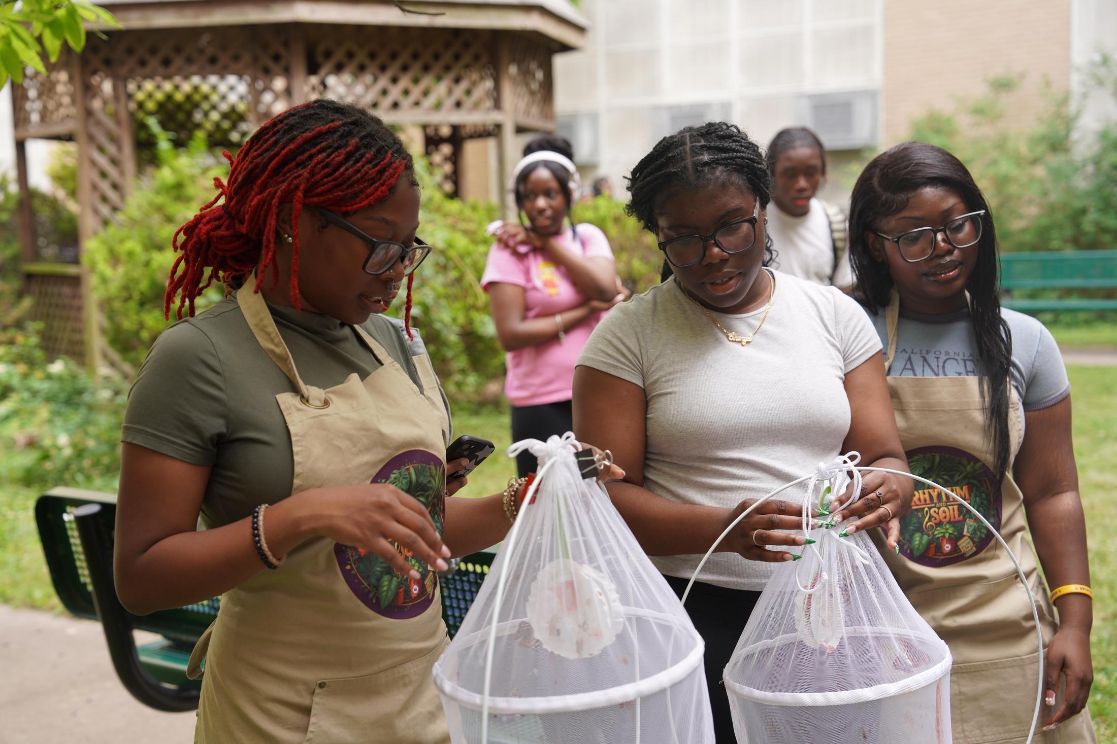 Community Service Information and Log – Students – Mathematics, Science ...