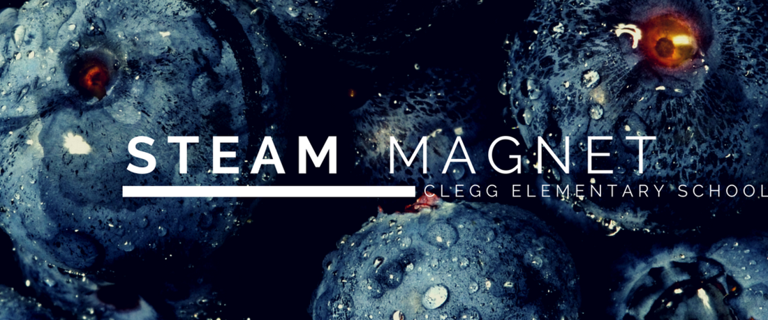 Steam Magnet School