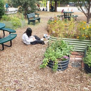 garden