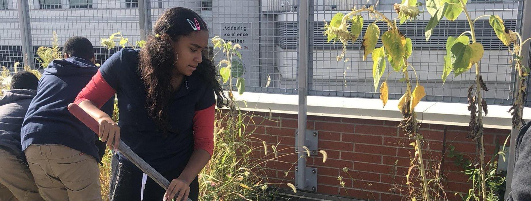 Students planting in garden.