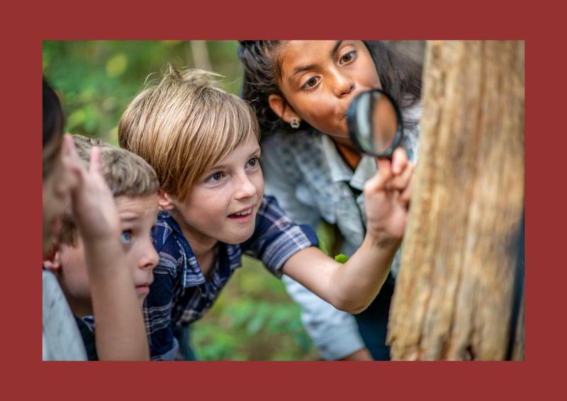 three students study a tree with a magnifying glass