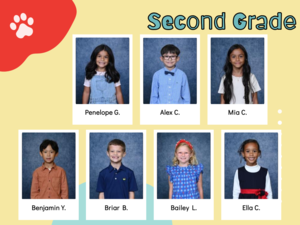 yellow blue and read background with school mascot