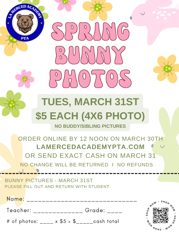 BUNNY PICTURES FLYER