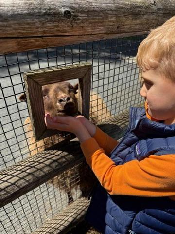 Pre-K 4 Field Trip to Staten Island Zoo Featured Photo