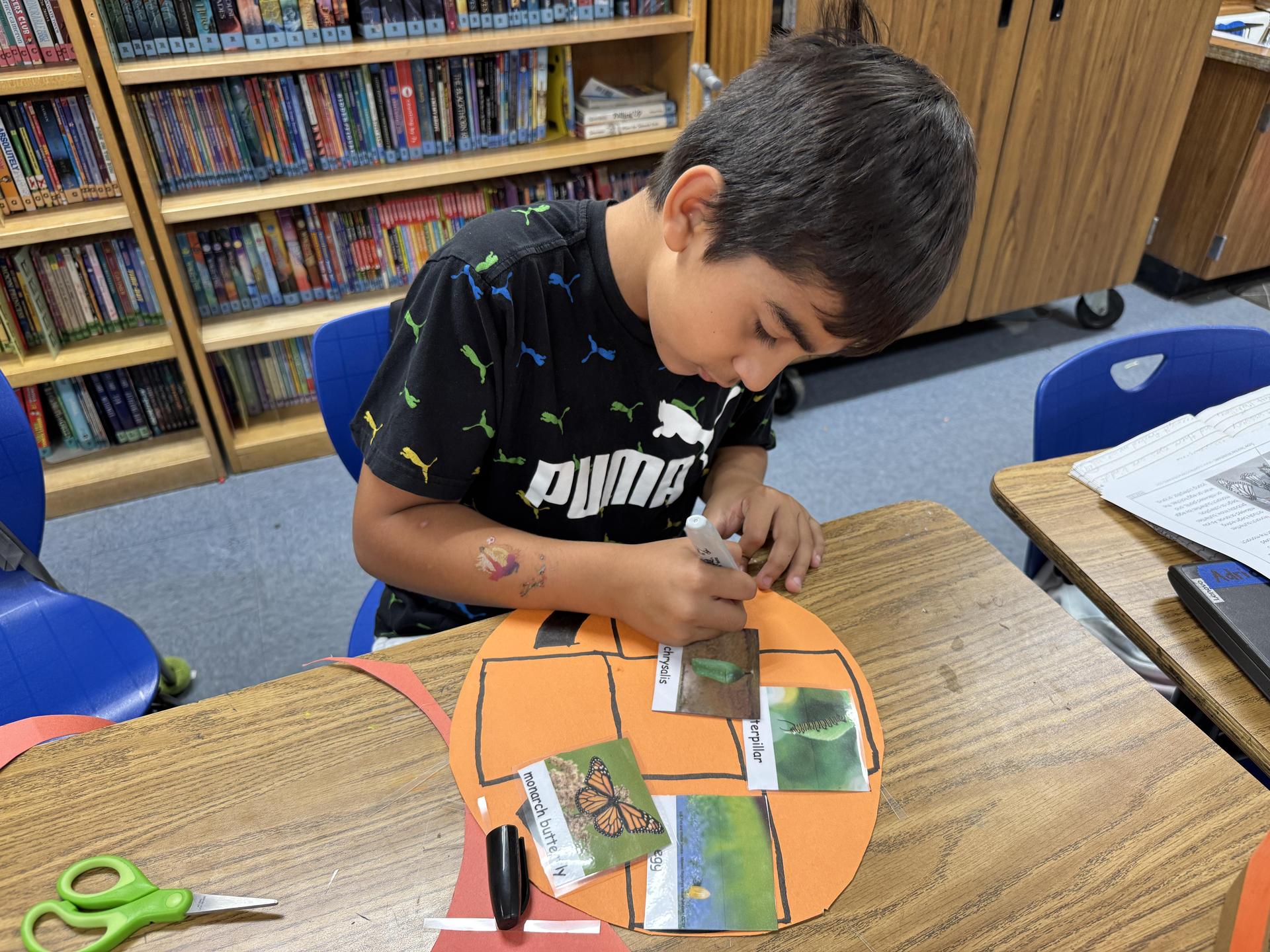 Students working on stewardship project