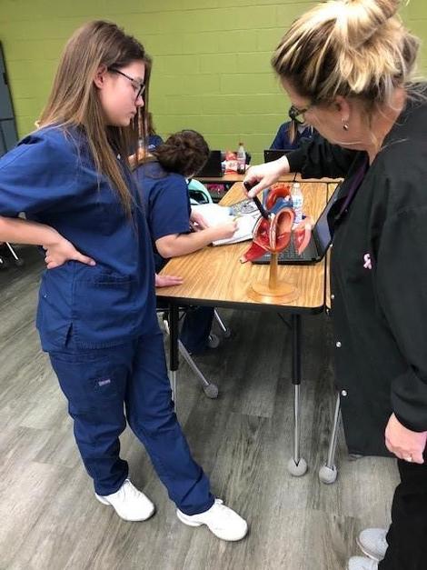 Health Occupations 10