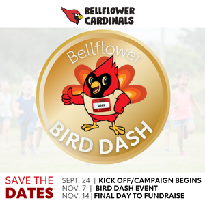 Social Media Promo.png