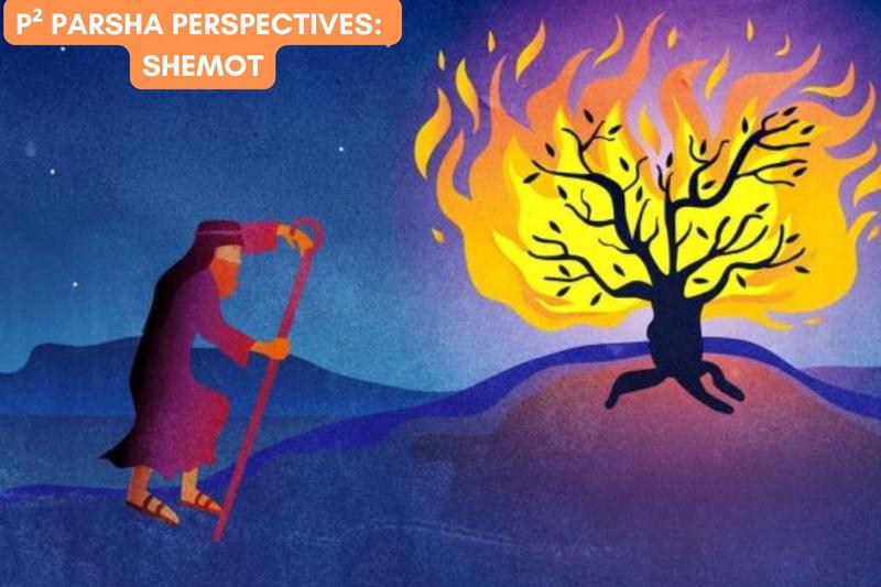 P² Parsha Perspectives: Shemot