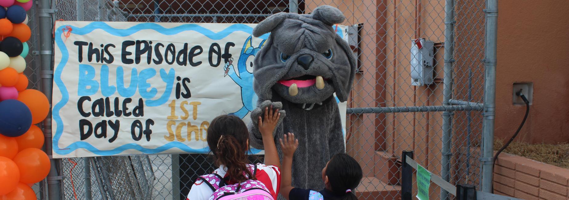 High five with bulldog