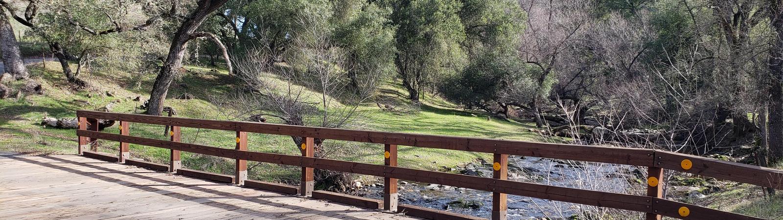 wooden bridge over a creek surrounded by trees