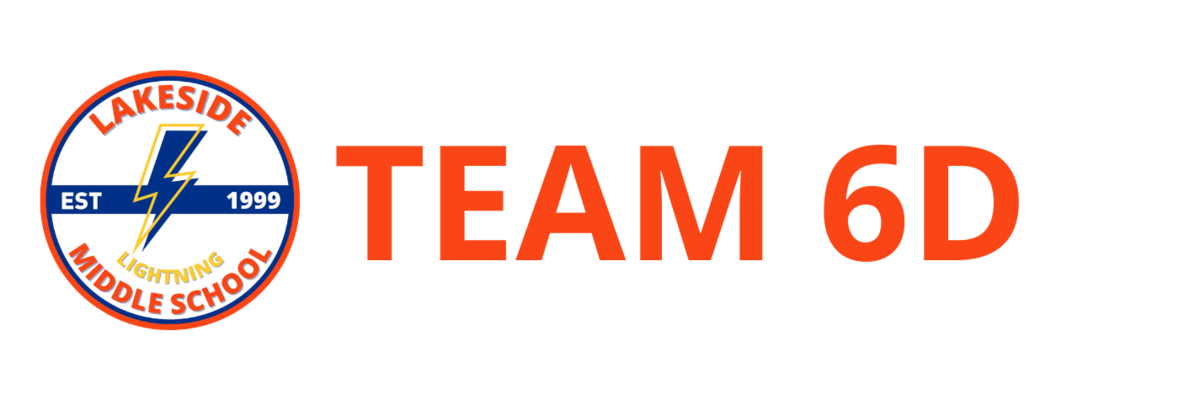 Team 6D