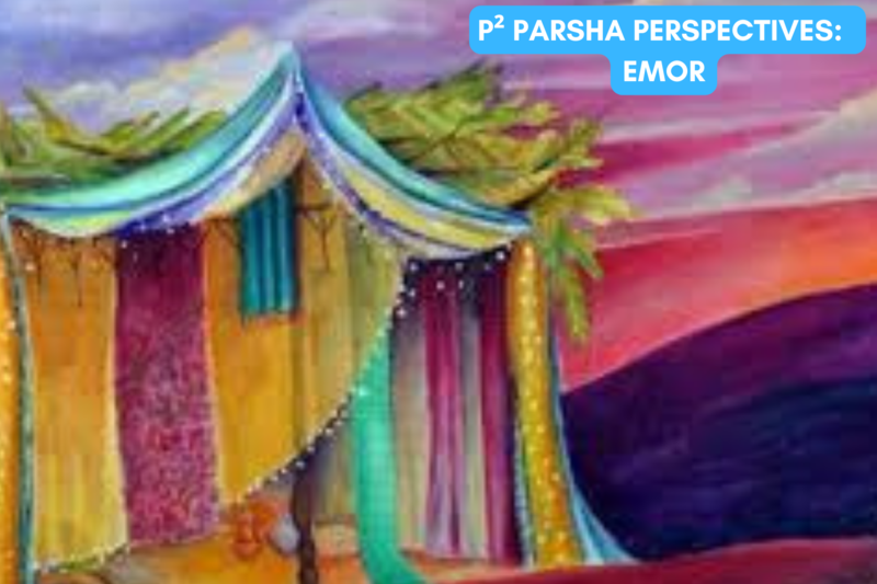 P² Parsha Perspectives: Parshat Emor