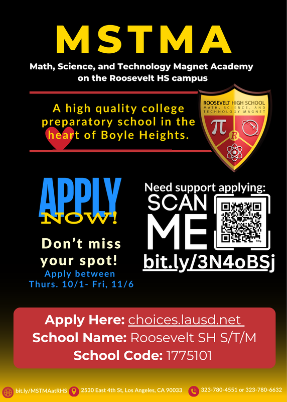 MSTMA Flyer