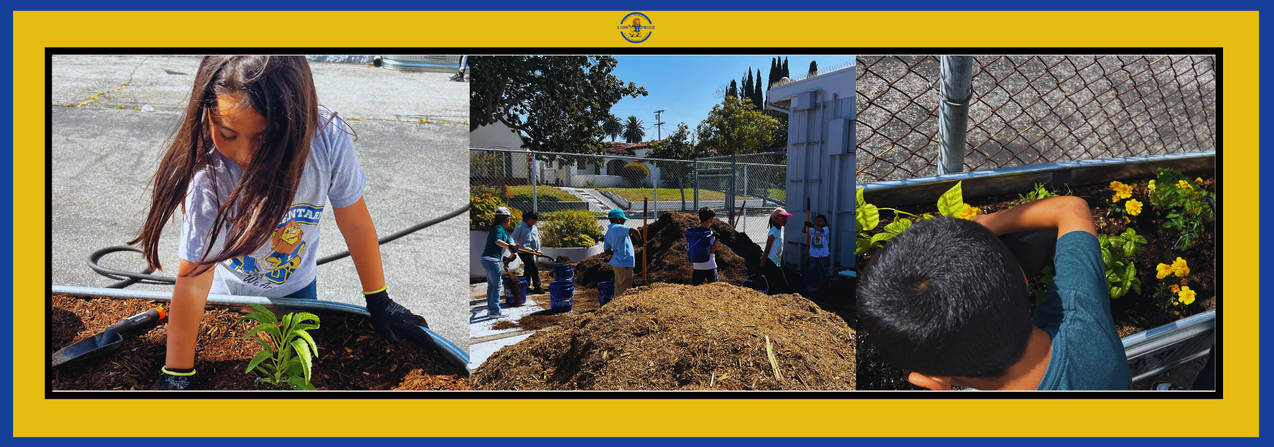 Gardening Club: Planting Indigenous Roots, Nurturing Our Neighborhood