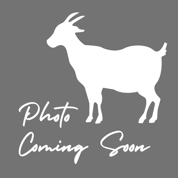 goat silhouette with words "image coming soon"
