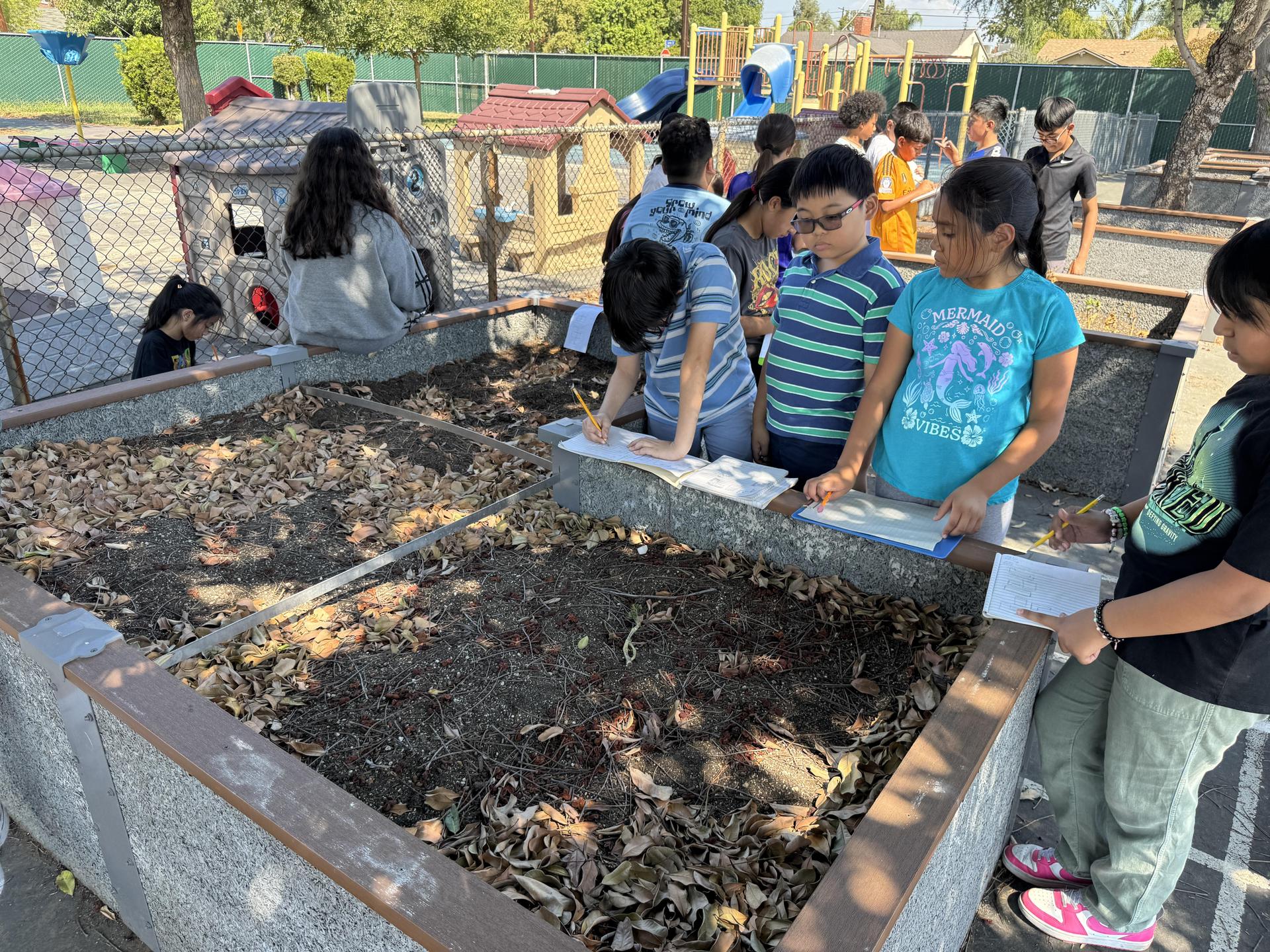 Lorne's Monarch Butterfly Sanctuary Garden