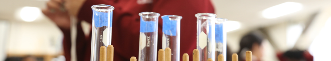 Test tubes in a science lab