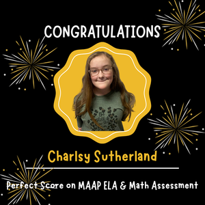 perfect ela/math