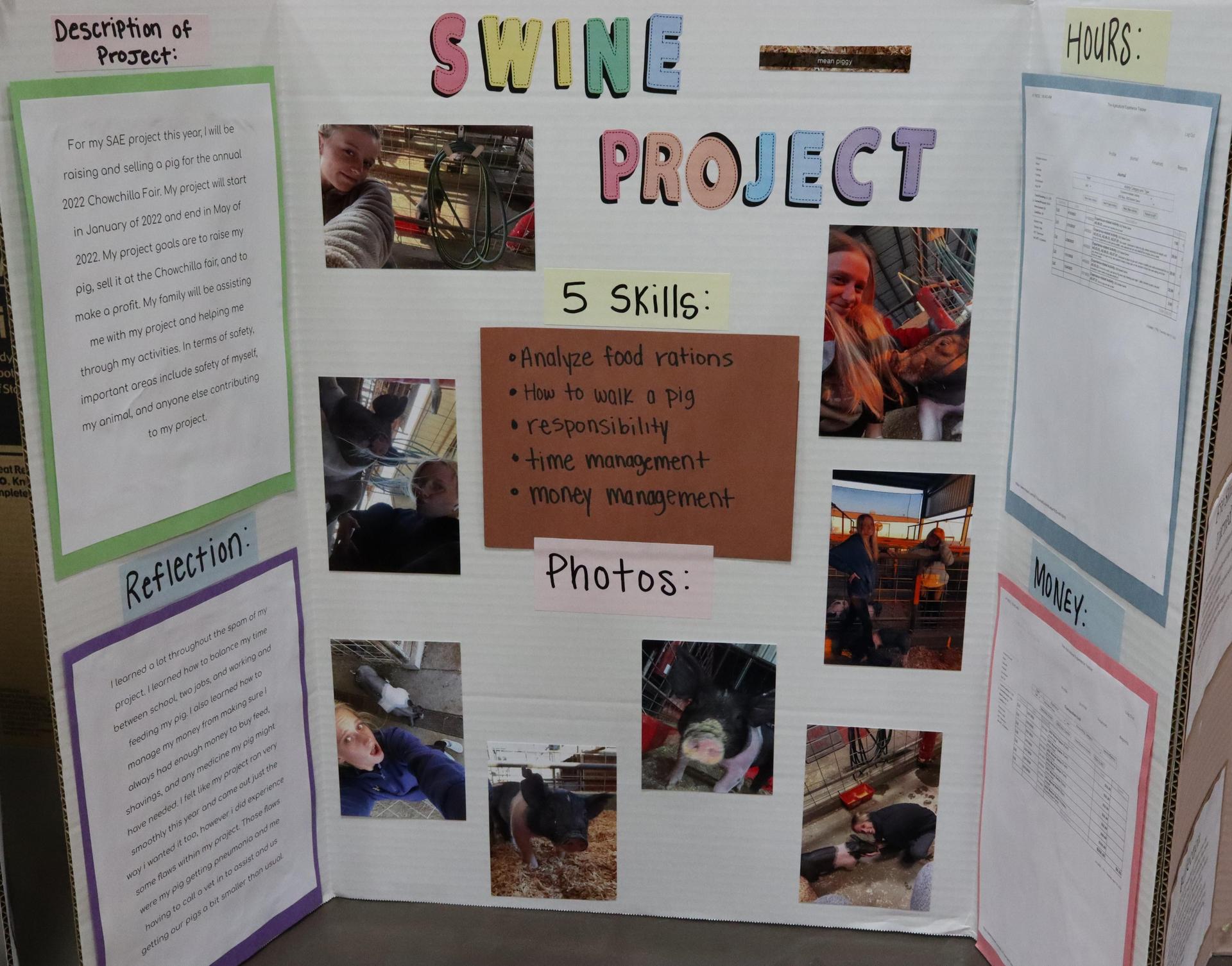 A Supervised Agricultural Experience trifold display