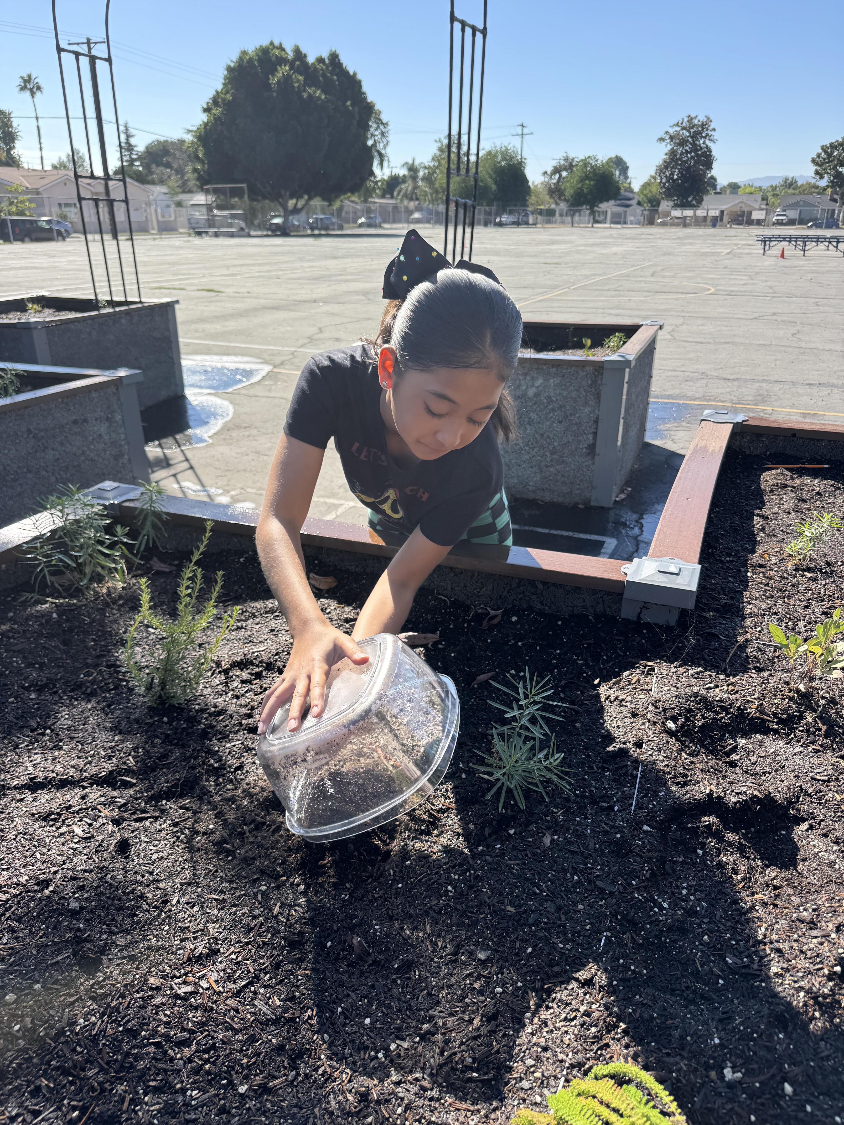 Students working on stewardship project