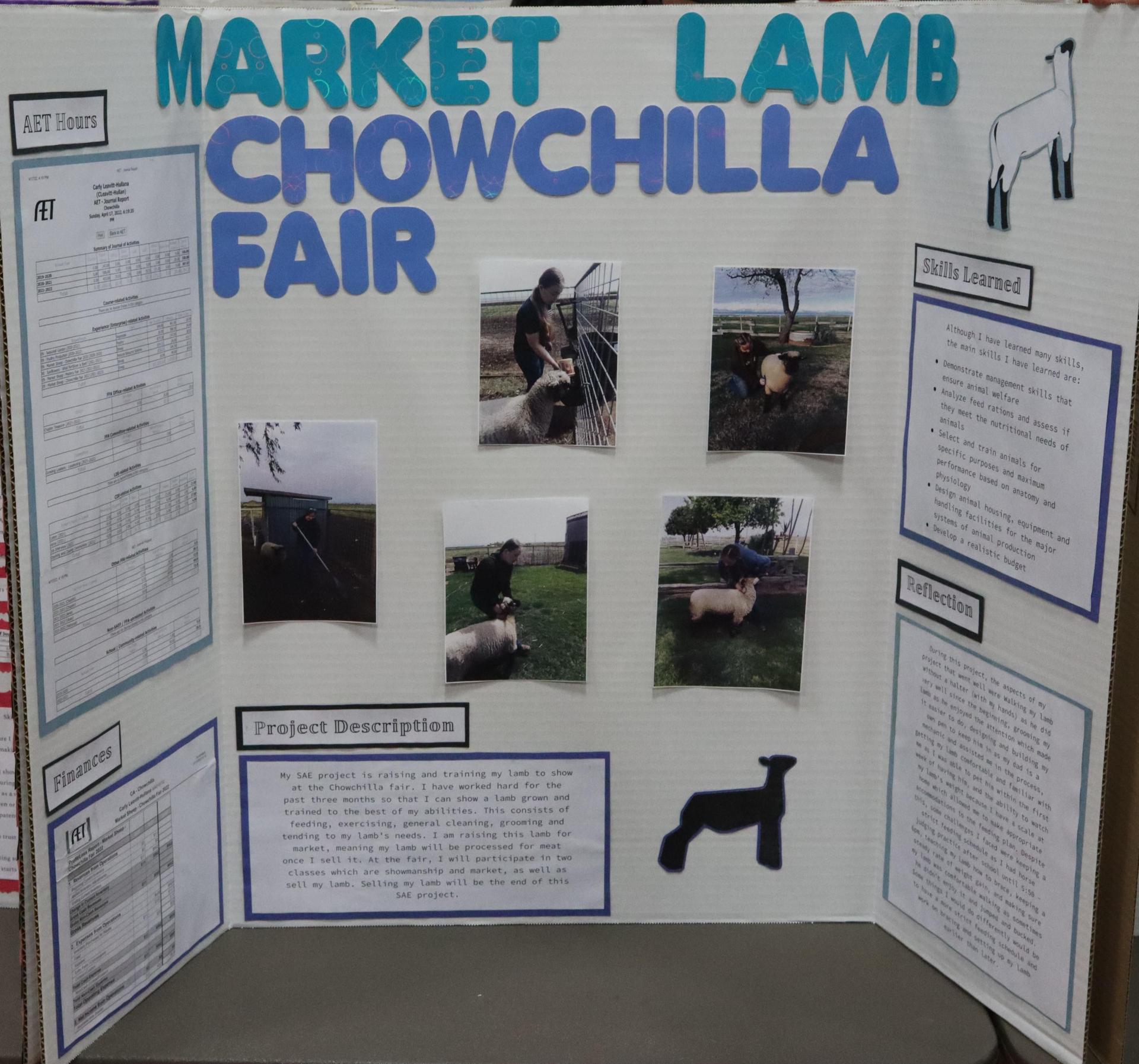 A Supervised Agricultural Experience trifold display