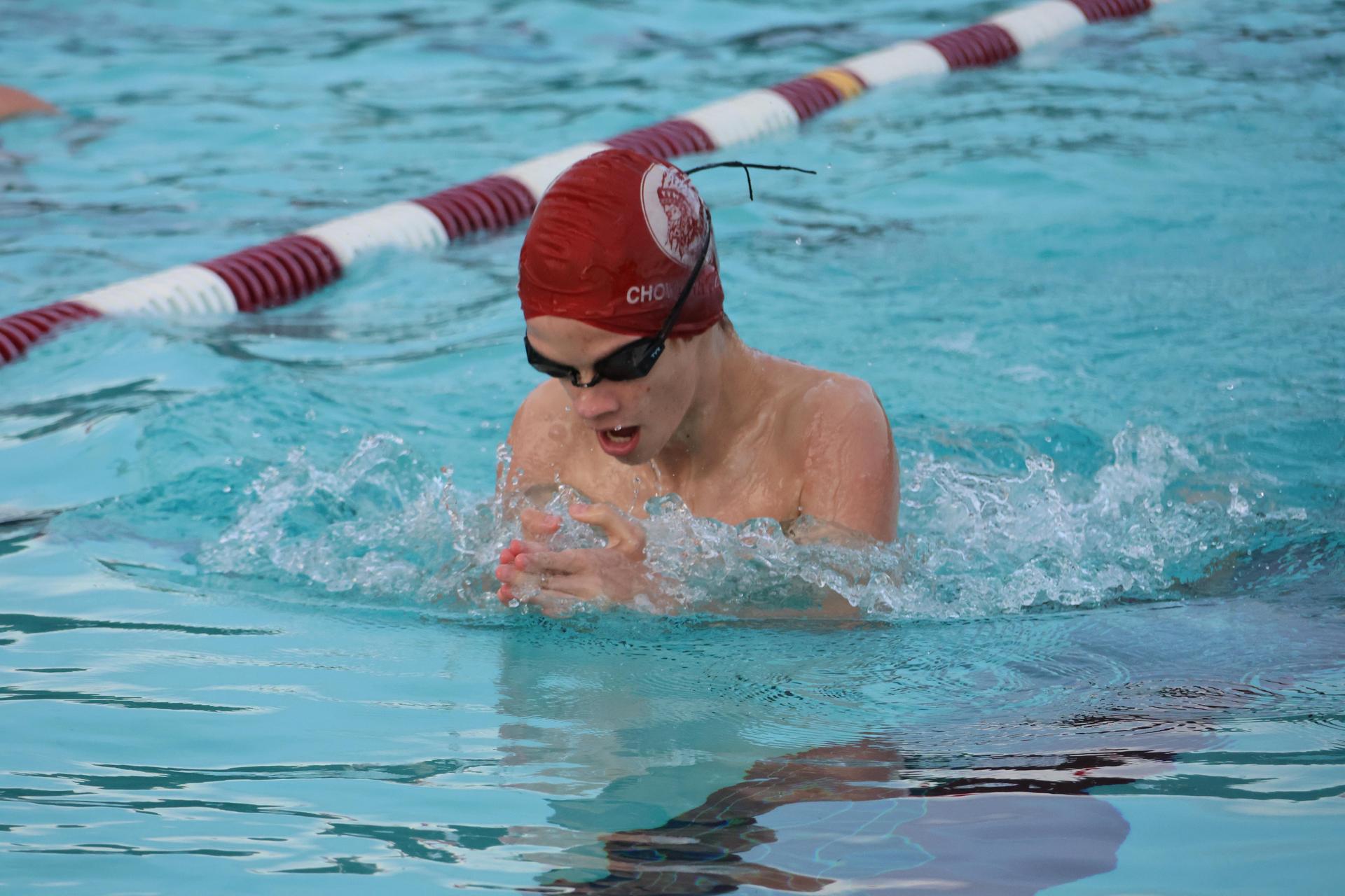 darren trapanese swimming