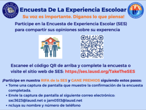 Encuesta De La Experiencia Escoloar